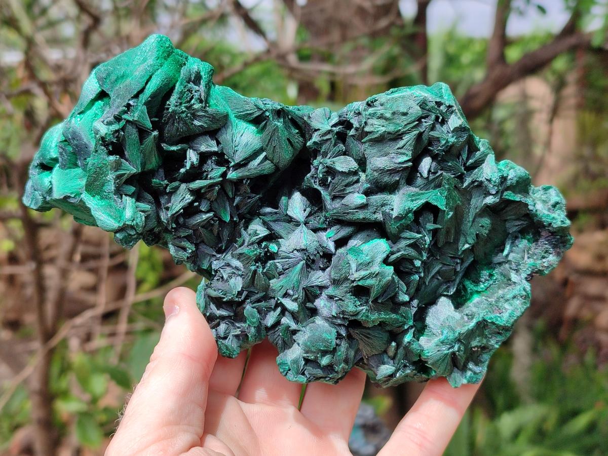 Natural Large Silky Malachite Specimen x 1 From Kasompe, Congo