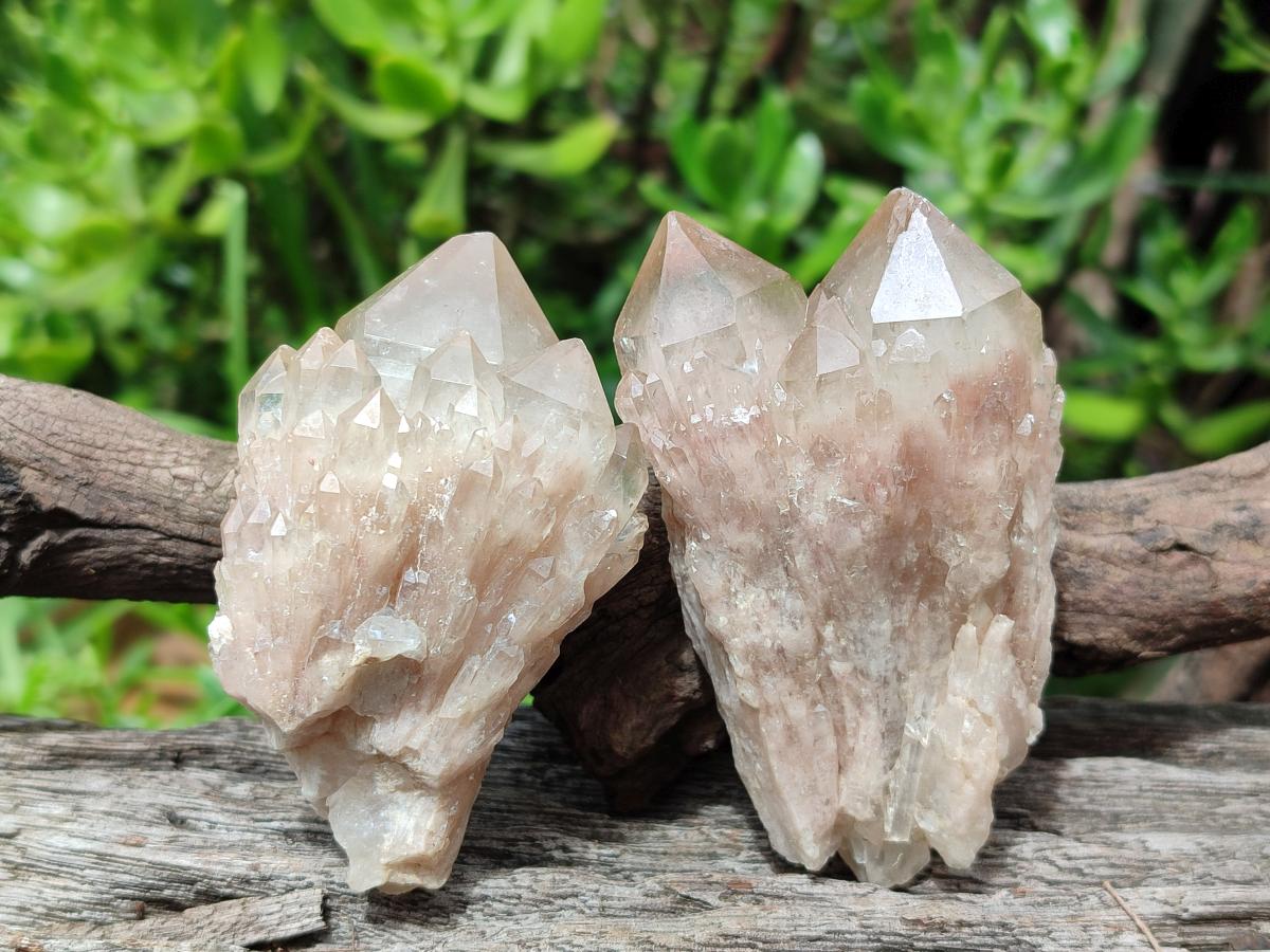 Natural Cascading White Phantom Smokey Clear Luena Quartz Crystals and Clusters x 12 From Luena, Congo