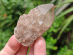 Natural Cascading White Phantom Smokey Clear Luena Quartz Crystals and Clusters x 12 From Luena, Congo