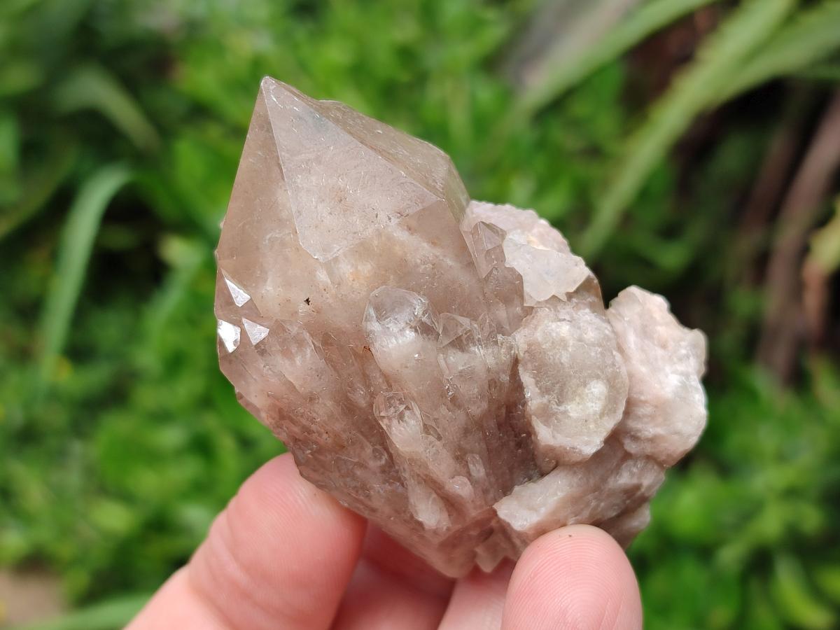 Natural Cascading White Phantom Smokey Clear Luena Quartz Crystals and Clusters x 12 From Luena, Congo