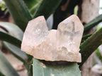 Natural Cascading White Phantom Smokey Clear Luena Quartz Crystals and Clusters x 12 From Luena, Congo