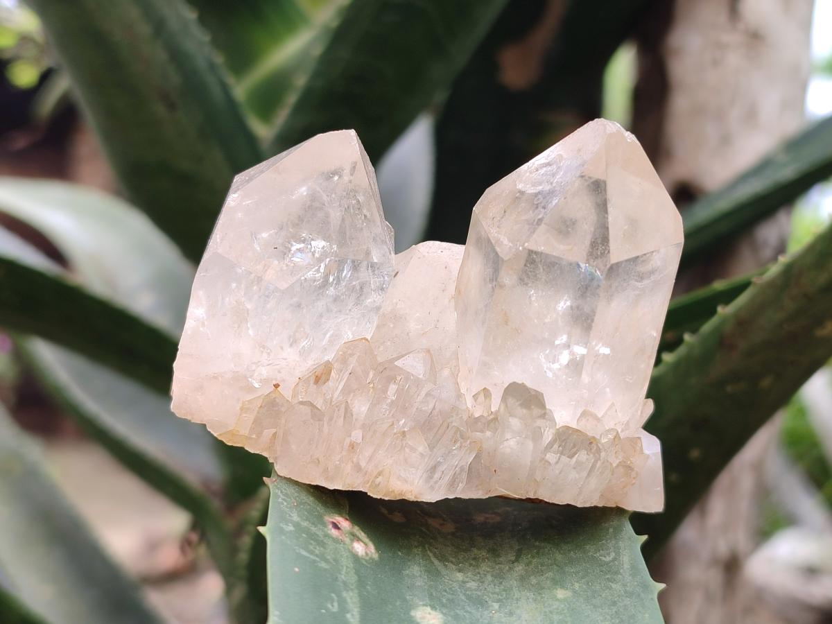 Natural Cascading White Phantom Smokey Clear Luena Quartz Crystals and Clusters x 12 From Luena, Congo