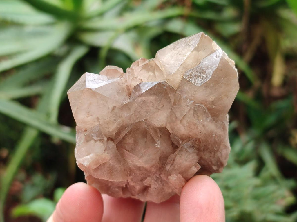 Natural Cascading White Phantom Smokey Clear Luena Quartz Crystals and Clusters x 12 From Luena, Congo