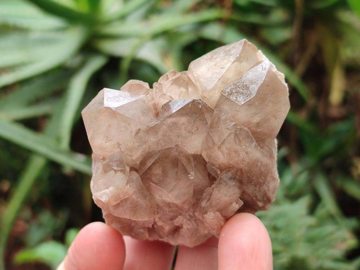Natural Cascading White Phantom Smokey Clear Luena Quartz Crystals and Clusters x 12 From Luena, Congo