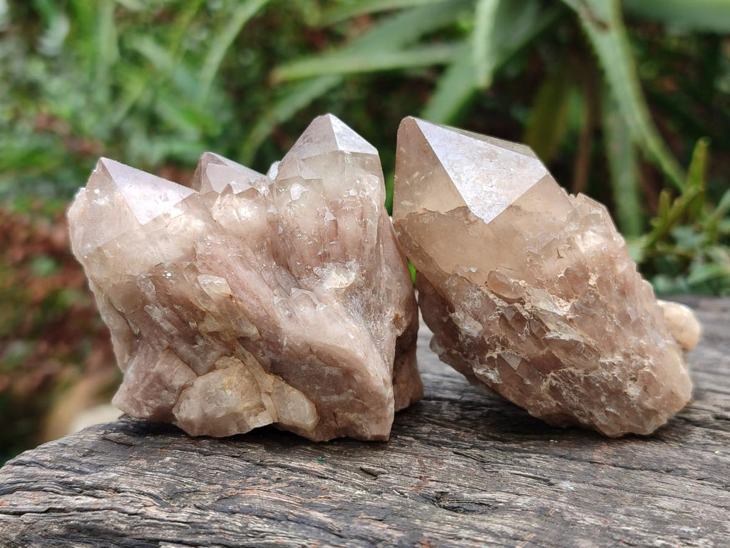 Natural Cascading White Phantom Smokey Clear Luena Quartz Crystals and Clusters x 12 From Luena, Congo