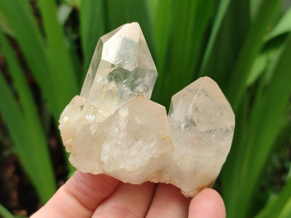 Natural Cascading White Phantom Smokey Clear Luena Quartz Crystals and Clusters x 12 From Luena, Congo