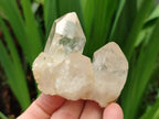 Natural Cascading White Phantom Smokey Clear Luena Quartz Crystals and Clusters x 12 From Luena, Congo