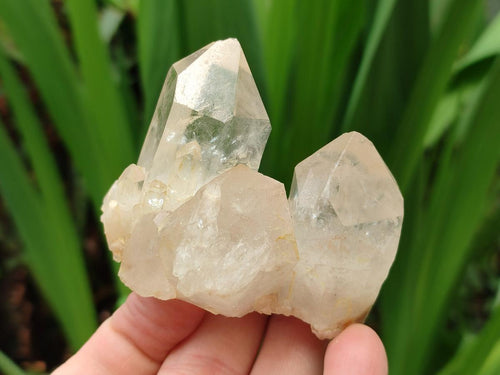 Natural Cascading White Phantom Smokey Clear Luena Quartz Crystals and Clusters x 12 From Luena, Congo