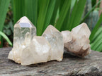 Natural Cascading White Phantom Smokey Clear Luena Quartz Crystals and Clusters x 12 From Luena, Congo