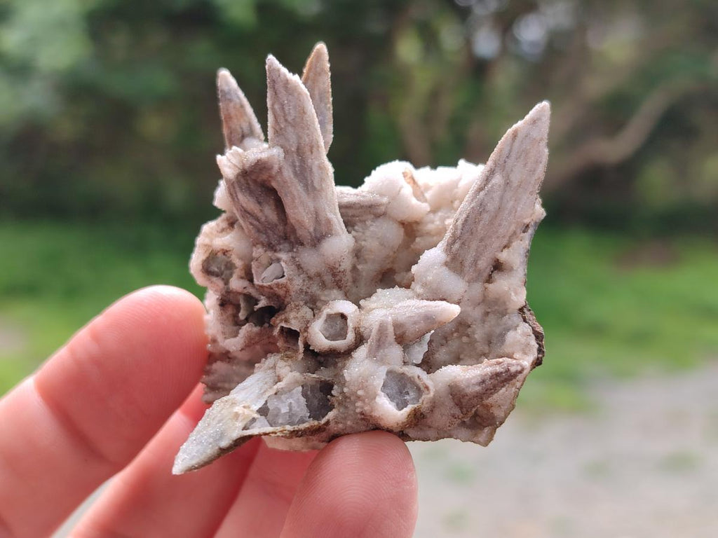 Natural Drusy Coated Calcite Sceptre Spearhead Crystals x 12 From Albert's Mountain, Lesotho