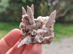 Natural Drusy Coated Calcite Sceptre Spearhead Crystals x 12 From Albert's Mountain, Lesotho