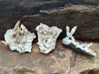 Natural Drusy Coated Calcite Sceptre Spearhead Crystals x 12 From Albert's Mountain, Lesotho