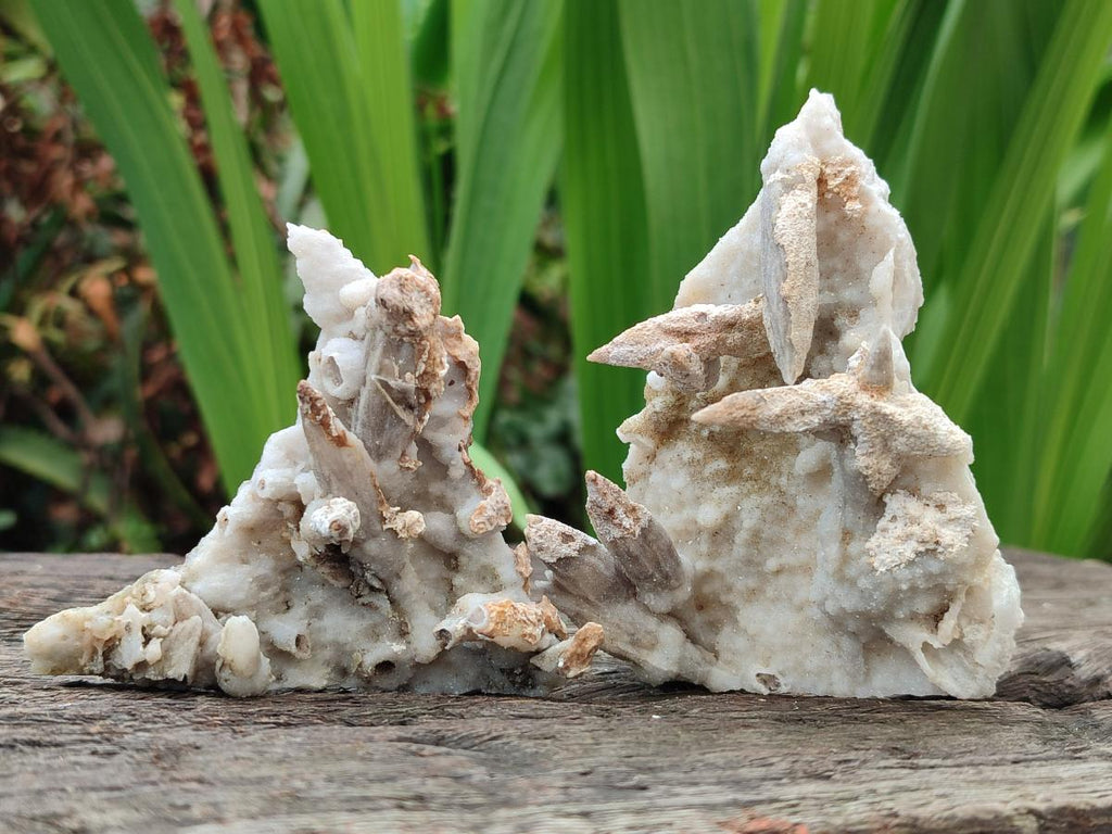 Natural Drusy Coated Calcite Sceptre Spearhead Crystals x 12 From Albert's Mountain, Lesotho