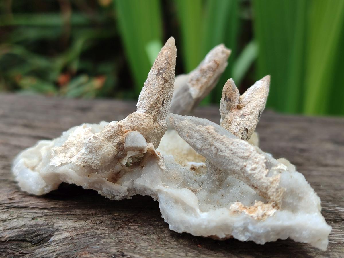 Natural Drusy Coated Calcite Sceptre Spearhead Crystals x 12 From Albert's Mountain, Lesotho