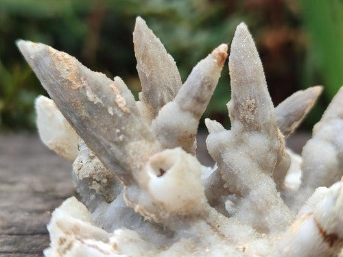 Natural Drusy Coated Calcite Sceptre Spearhead Crystals x 12 From Albert's Mountain, Lesotho