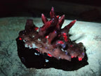 Natural Drusy Coated Calcite Sceptre Spearhead Crystals x 12 From Albert's Mountain, Lesotho