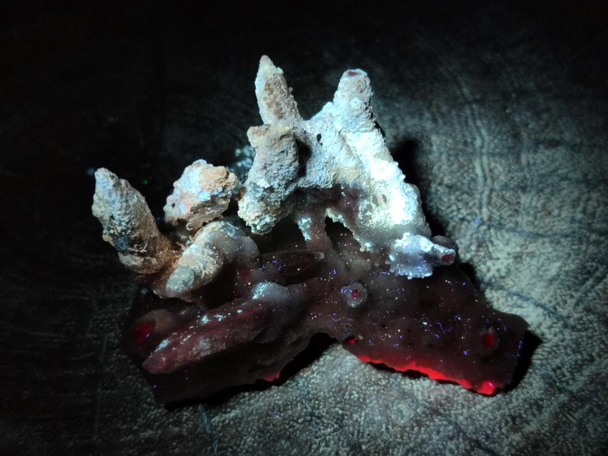 Natural Drusy Coated Calcite Sceptre Spearhead Crystals x 12 From Albert's Mountain, Lesotho