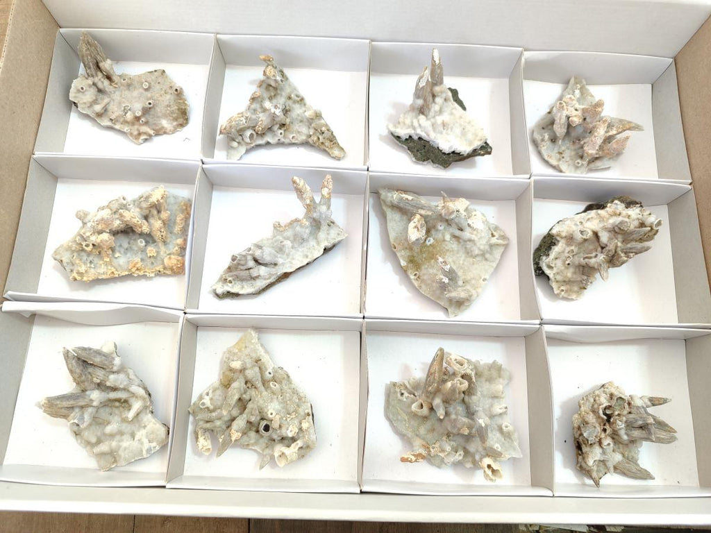 Natural Drusy Coated Calcite Sceptre Spearhead Crystals x 12 From Albert's Mountain, Lesotho