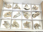 Natural Drusy Coated Calcite Sceptre Spearhead Crystals x 12 From Albert's Mountain, Lesotho