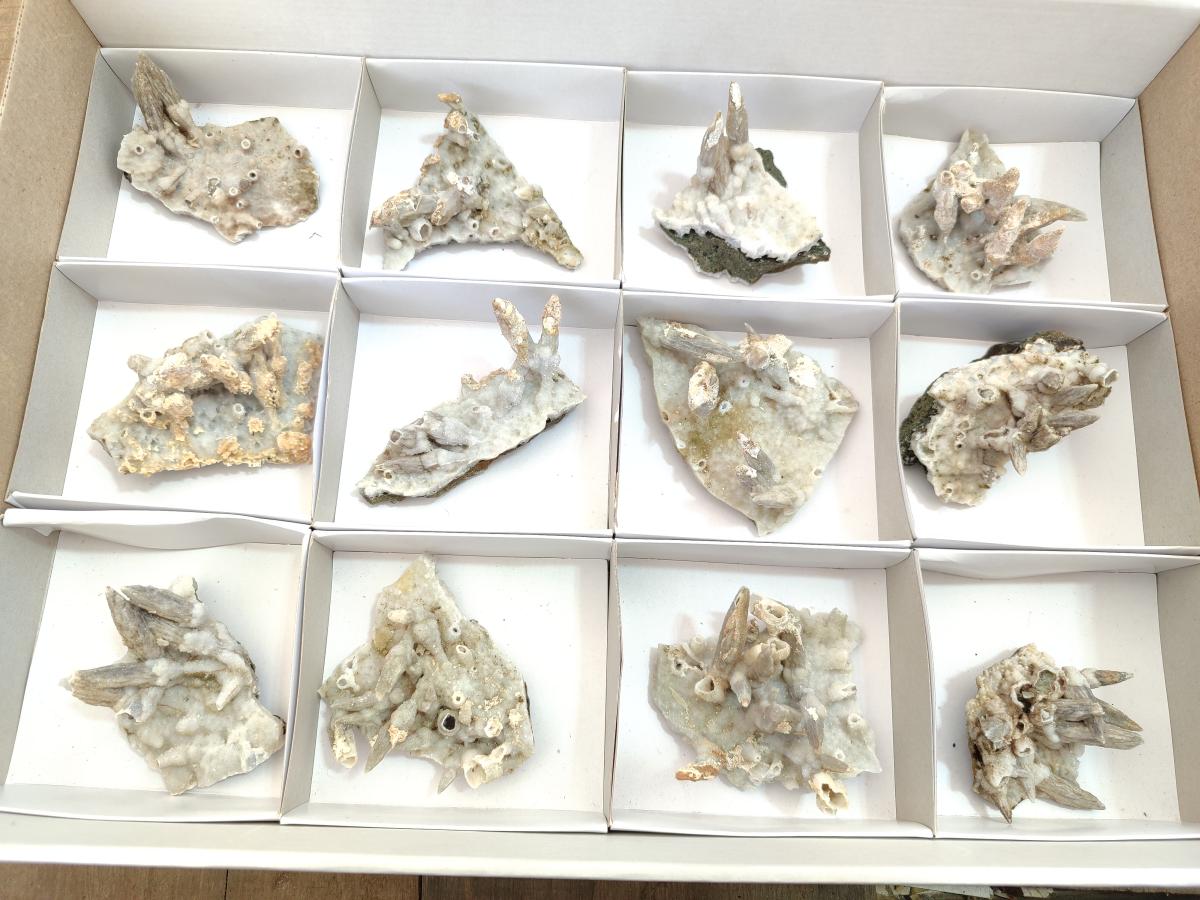 Natural Drusy Coated Calcite Sceptre Spearhead Crystals x 12 From Albert's Mountain, Lesotho