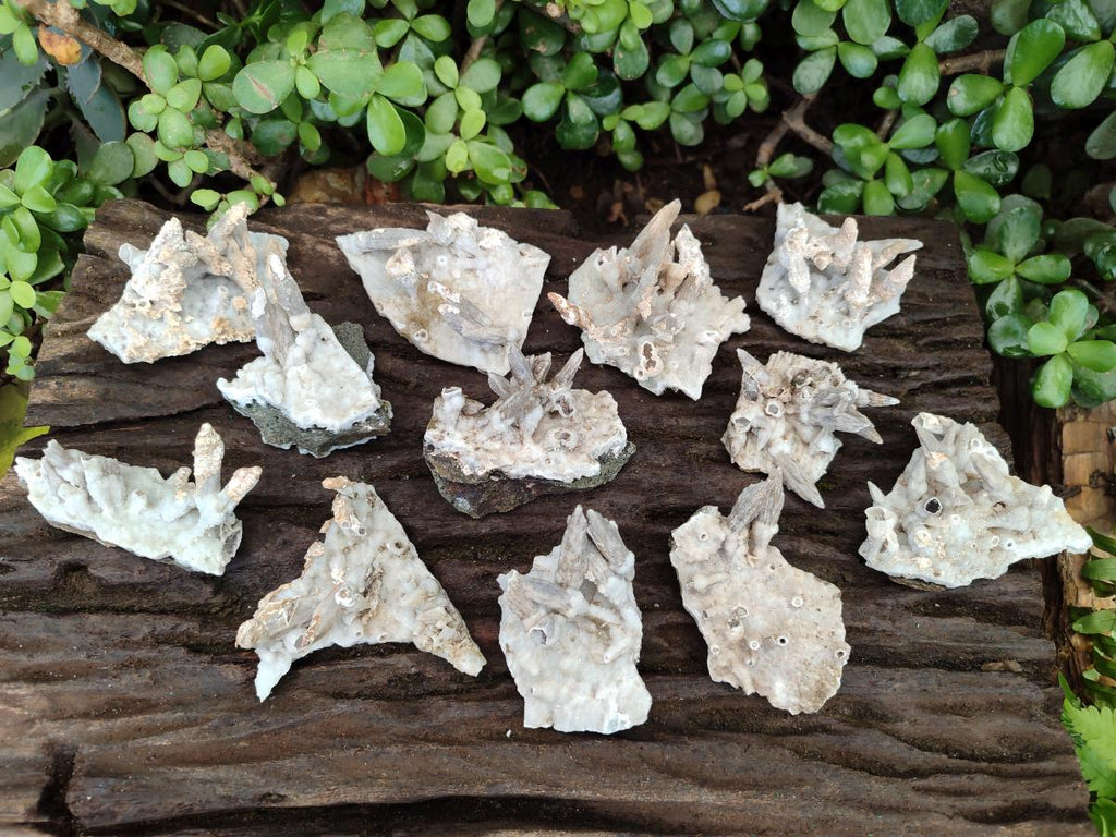 Natural Drusy Coated Calcite Sceptre Spearhead Crystals x 12 From Albert's Mountain, Lesotho