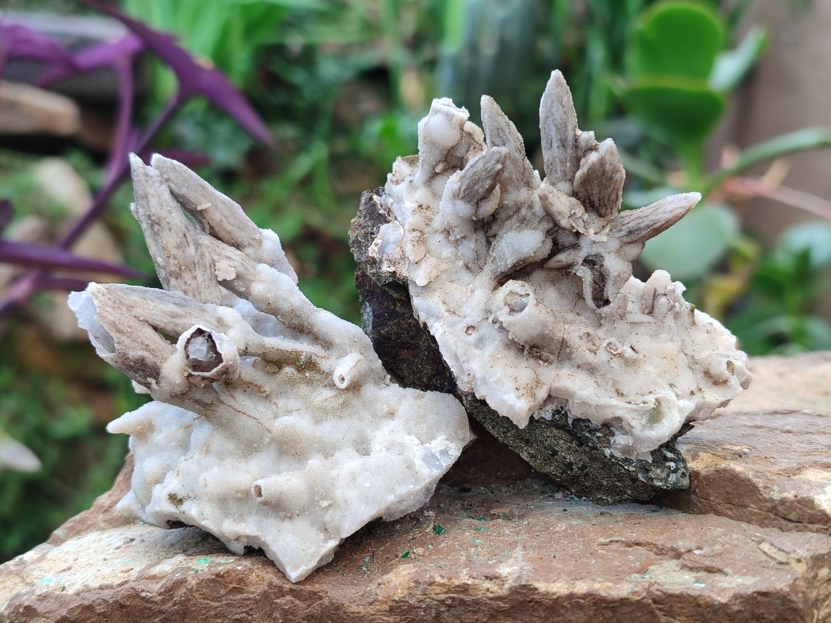 Natural Drusy Coated Calcite Sceptre Spearhead Crystals x 12 From Albert's Mountain, Lesotho