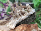 Natural Drusy Coated Calcite Sceptre Spearhead Crystals x 12 From Albert's Mountain, Lesotho
