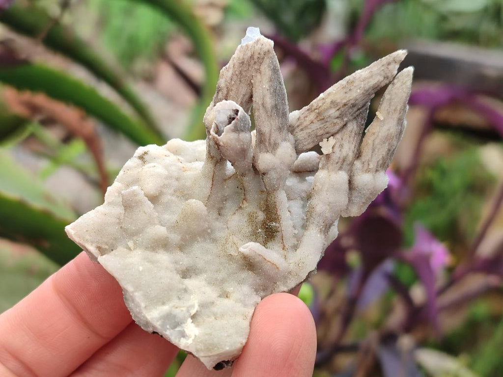 Natural Drusy Coated Calcite Sceptre Spearhead Crystals x 12 From Albert's Mountain, Lesotho
