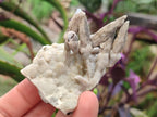 Natural Drusy Coated Calcite Sceptre Spearhead Crystals x 12 From Albert's Mountain, Lesotho