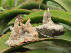 Natural Drusy Coated Calcite Sceptre Spearhead Crystals x 12 From Albert's Mountain, Lesotho