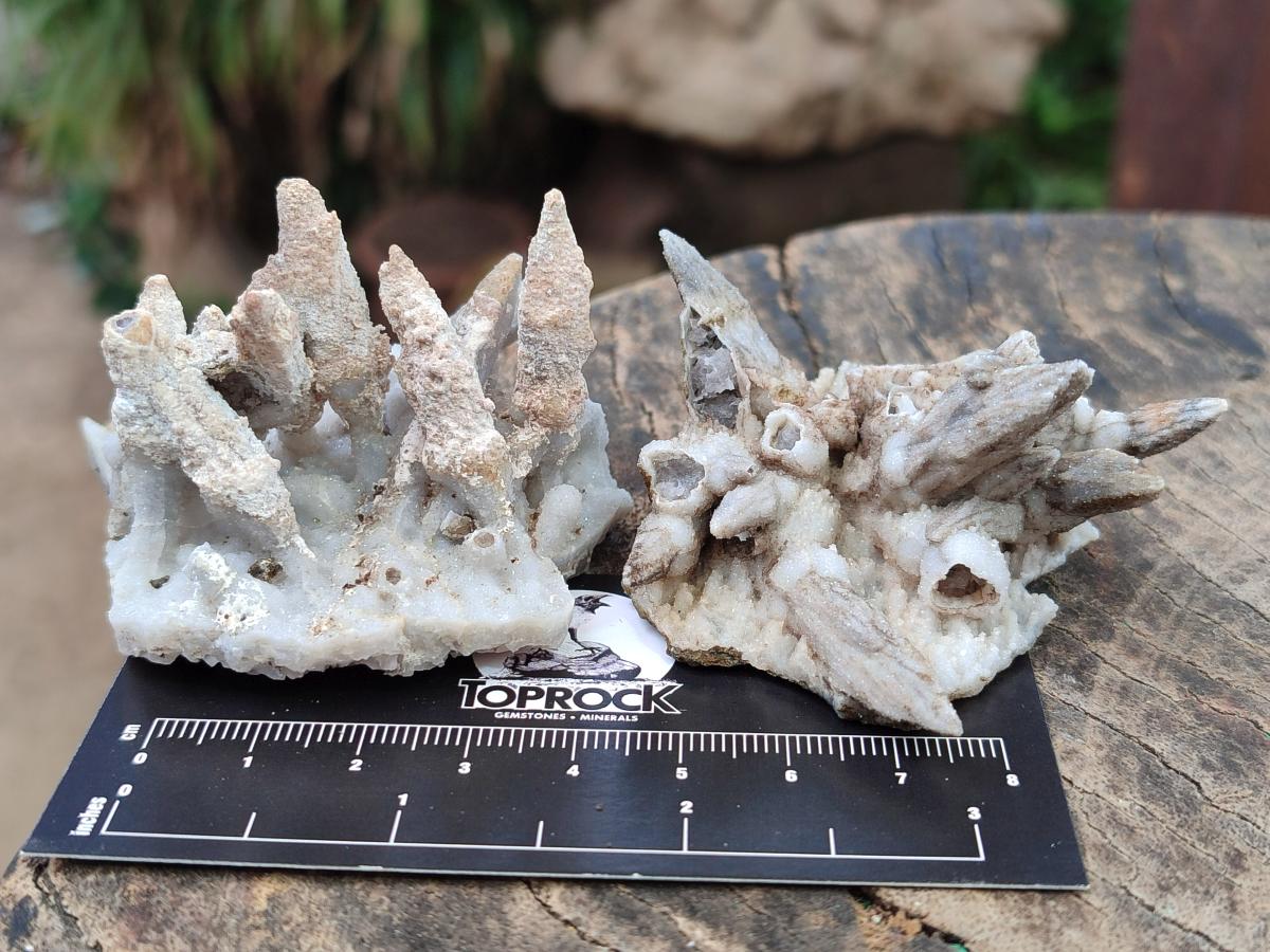 Natural Drusy Coated Calcite Sceptre Spearhead Crystals x 12 From Albert's Mountain, Lesotho