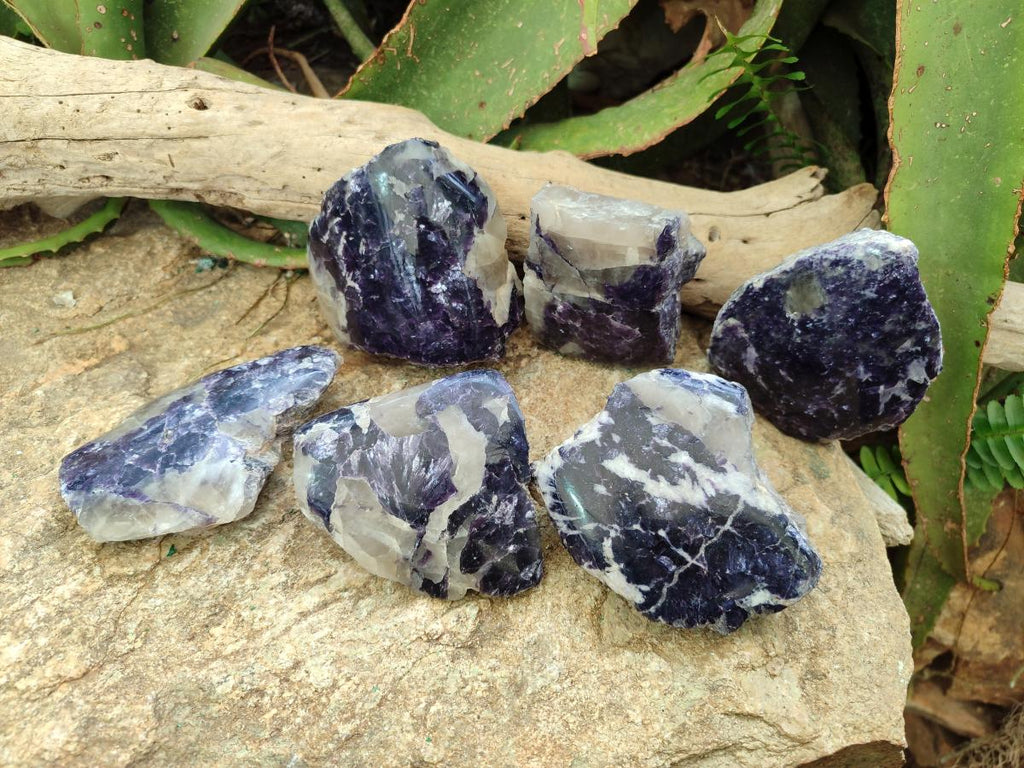 Polished One Side Silver Leaf Lepidolite Slices x 6 From Zimbabwe
