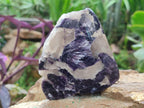 Polished One Side Silver Leaf Lepidolite Slices x 6 From Zimbabwe