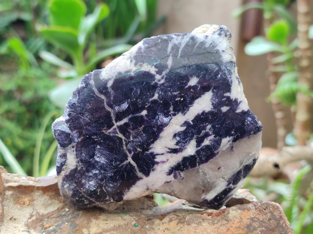 Polished One Side Silver Leaf Lepidolite Slices x 6 From Zimbabwe