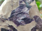 Polished One Side Silver Leaf Lepidolite Slices x 6 From Zimbabwe