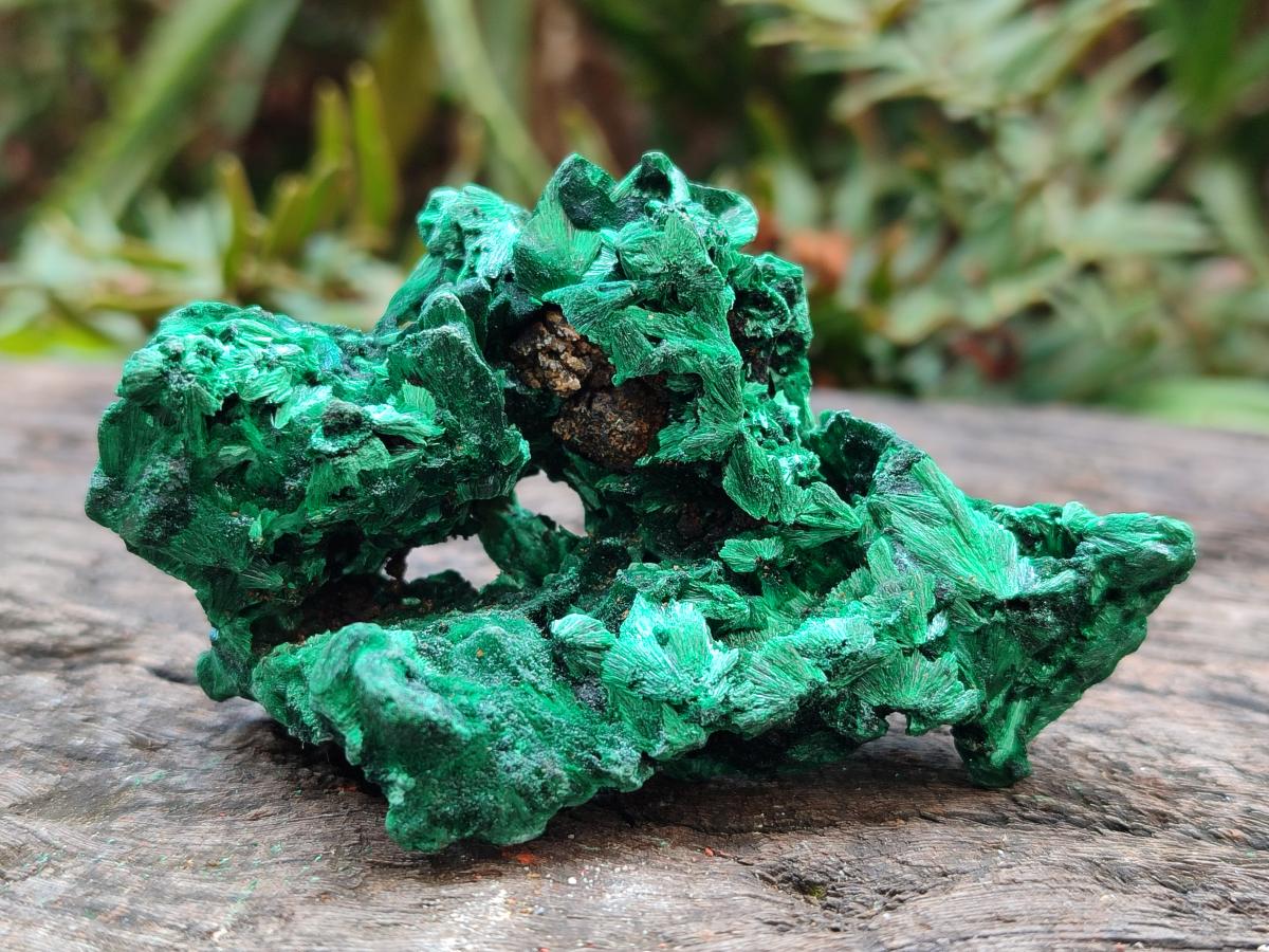 Natural Silky Malachite Specimens x 12 From Kasompe, Congo