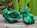 Natural Silky Malachite Specimens x 12 From Kasompe, Congo