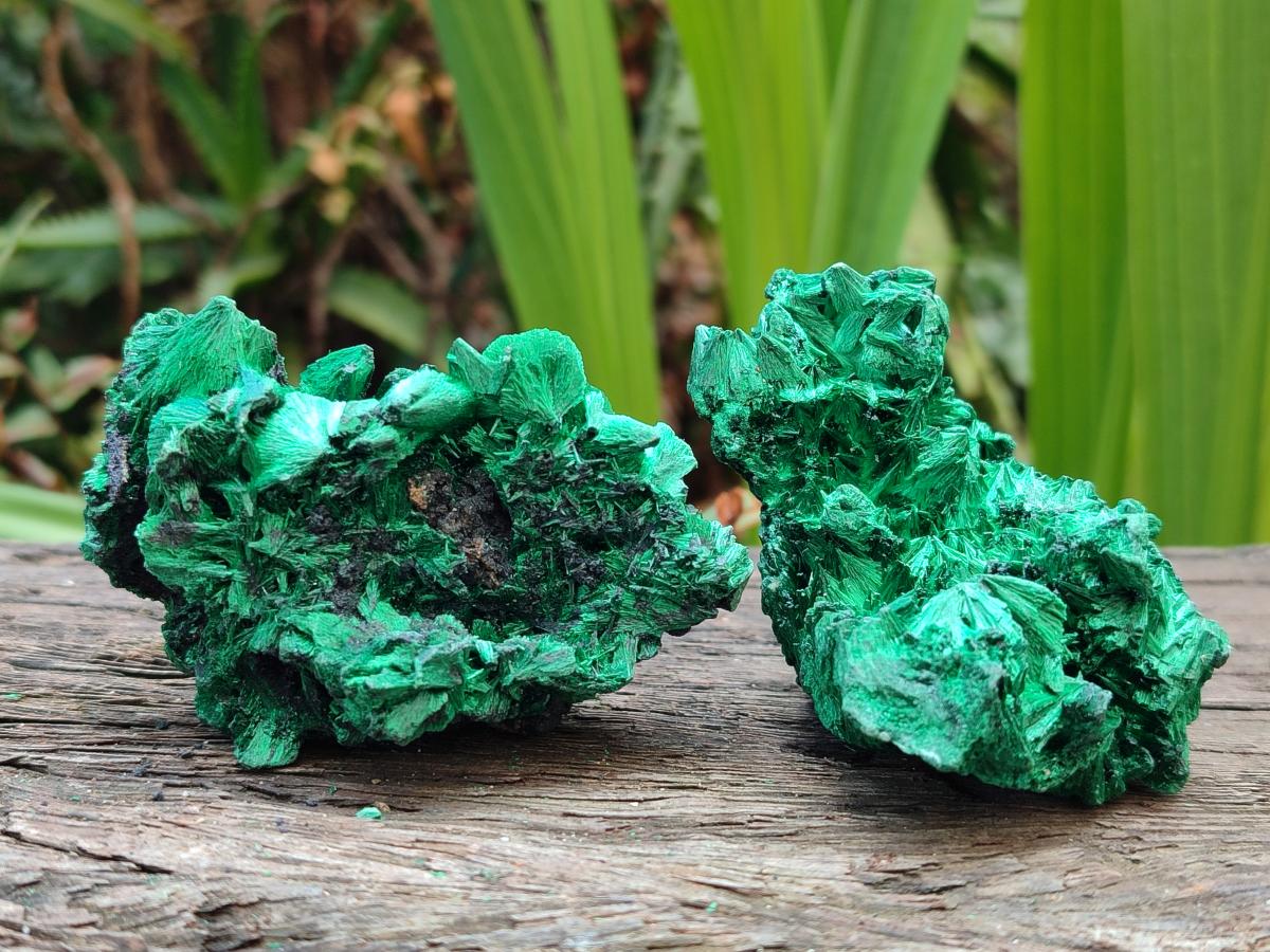 Natural Silky Malachite Specimens x 12 From Kasompe, Congo