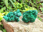 Natural Silky Malachite Specimens x 12 From Kasompe, Congo