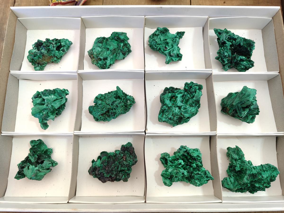 Natural Silky Malachite Specimens x 12 From Kasompe, Congo