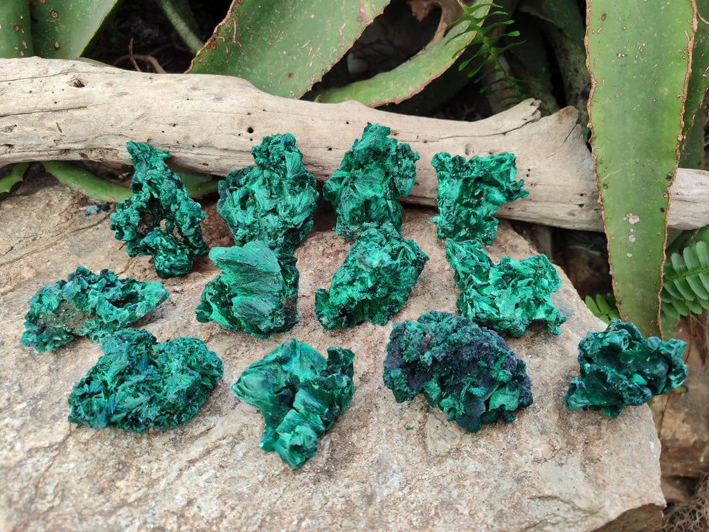 Natural Silky Malachite Specimens x 12 From Kasompe, Congo