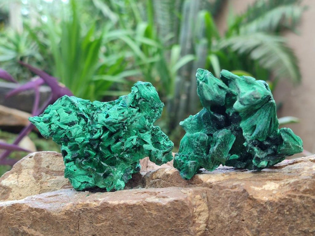 Natural Silky Malachite Specimens x 12 From Kasompe, Congo