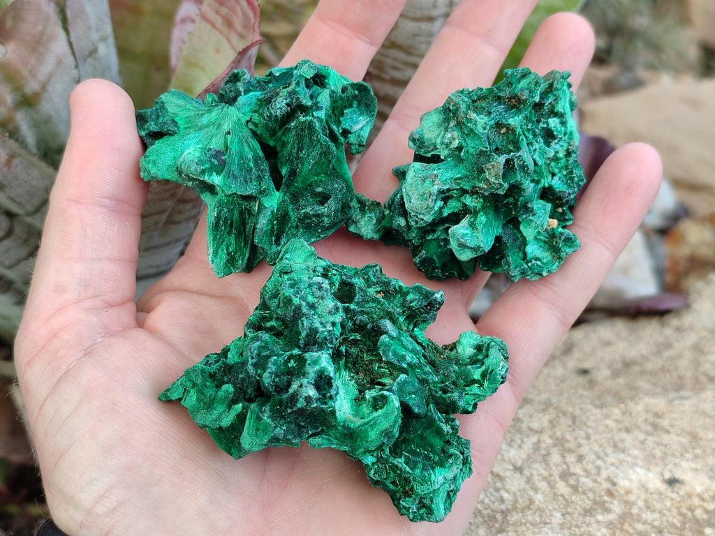 Natural Silky Malachite Specimens x 12 From Kasompe, Congo