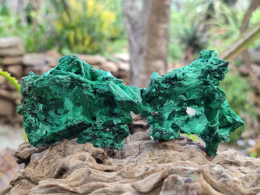 Natural Silky Malachite Specimens x 12 From Kasompe, Congo