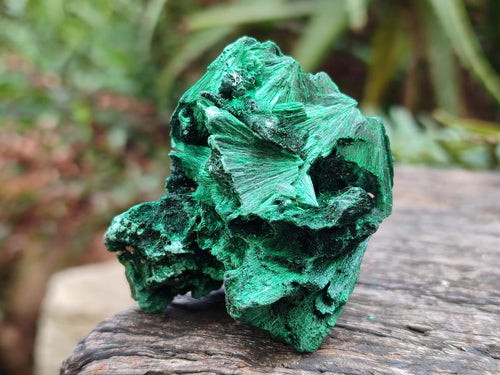 Natural Silky Malachite Specimens x 12 From Kasompe, Congo