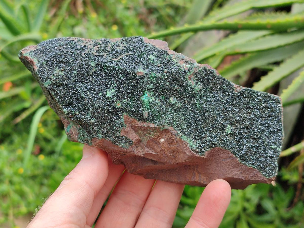 Natural Crystalline Libethenite Specimens on Dolomite Matrix x 4 From Shituru, Congo