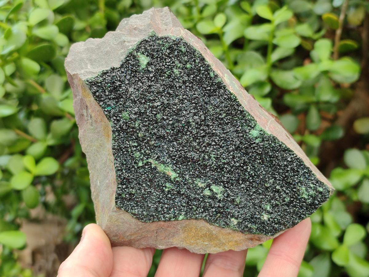 Natural Crystalline Libethenite Specimens on Dolomite Matrix x 4 From Shituru, Congo