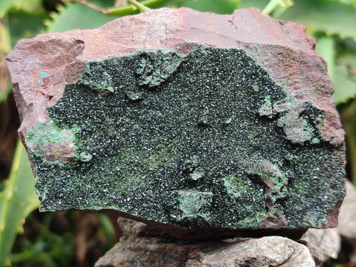 Natural Crystalline Libethenite Specimens on Dolomite Matrix x 4 From Shituru, Congo