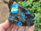 Polished Labradorite Standing Display Pieces x 4 From Madagascar