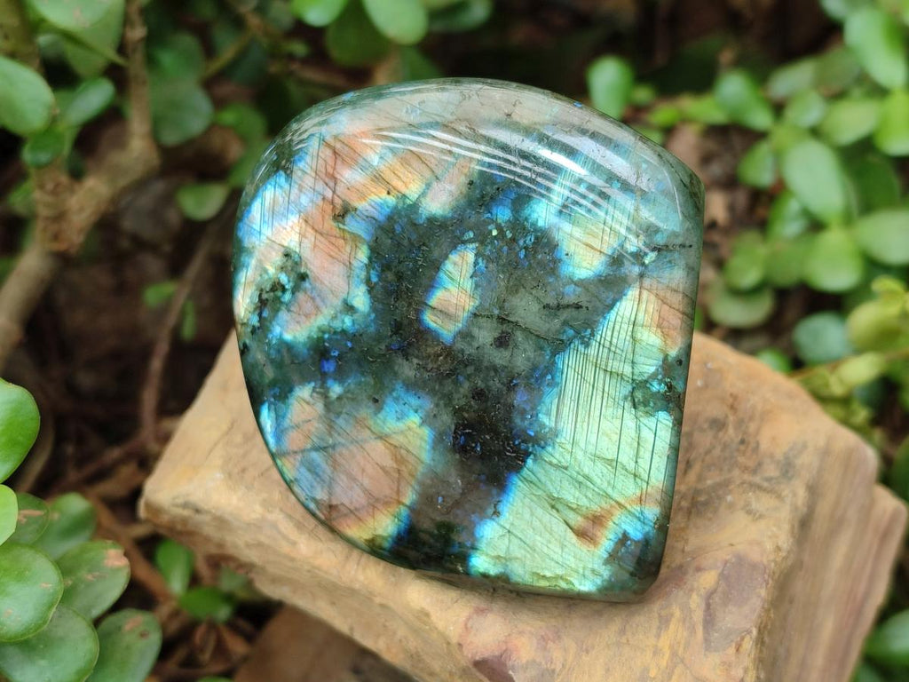 Polished Labradorite Standing Display Pieces x 4 From Madagascar